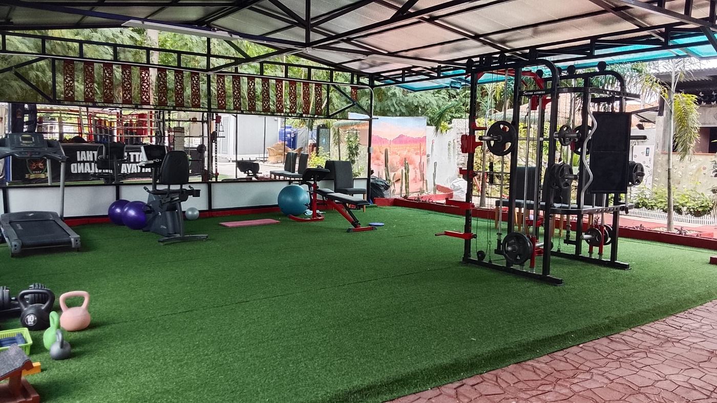 The weights area on artificial turf: squat rack, benches, exercise bike, treadmills and a mirror wall.